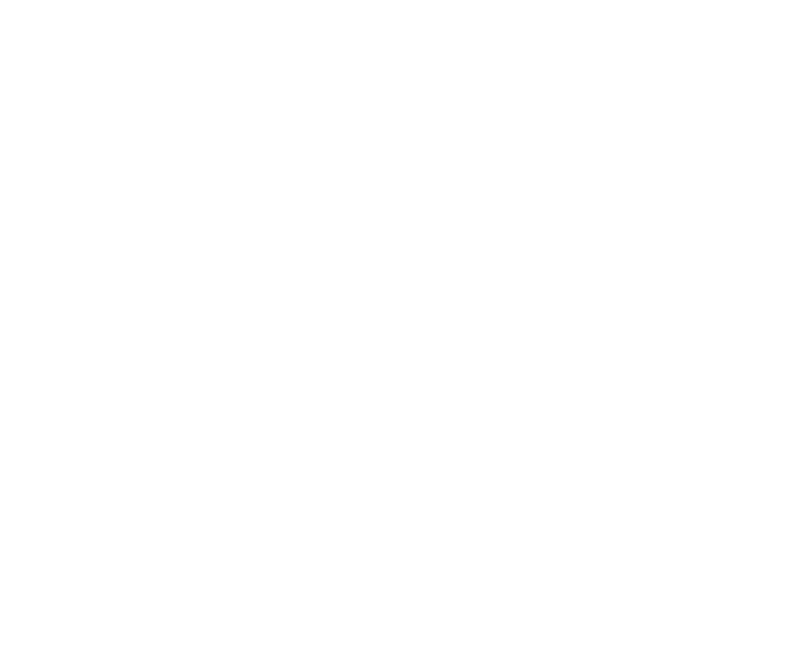 INS WORKS